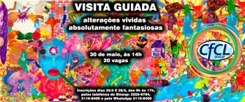 avaf - reprodução