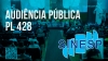 SINESP em audiência pública contra o PL 428